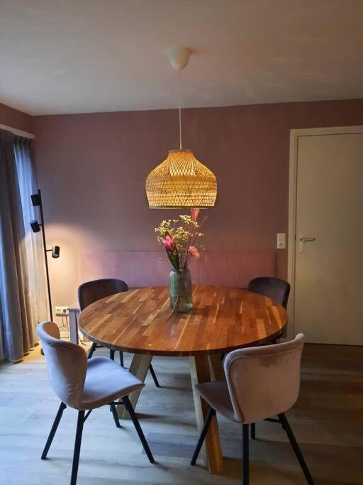4-6 Persoons Vakantiewoning Met Eigen Tuin Βίλα Bakkeveen Εξωτερικό φωτογραφία